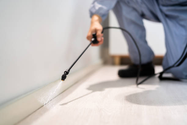 Licensed Fumigation Services service in Ashley, OH - Nex Pest Control
