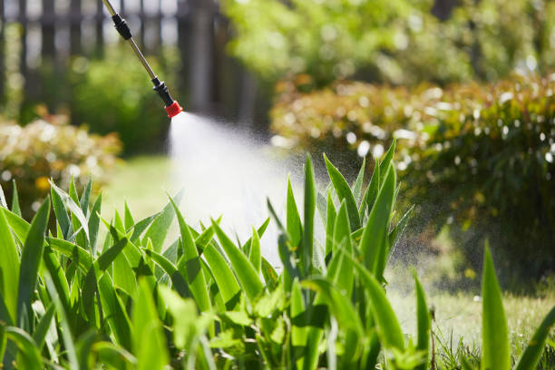 24/7 Emergency Fumigation Services experts in Ashley, OH