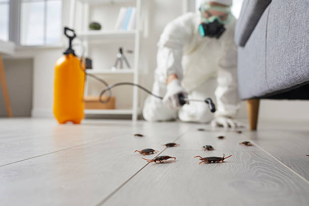 Trusted Rodent Control service in Ashley, OH - Nex Pest Control
